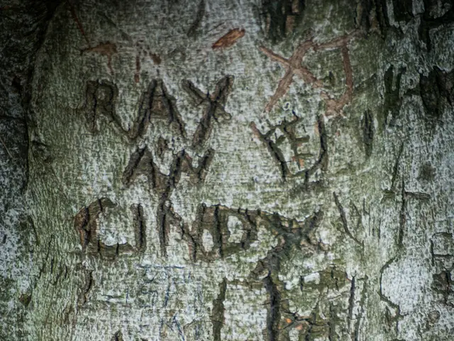 Enhancing Law Firm Expansion through Improved Workplace Communication Platforms