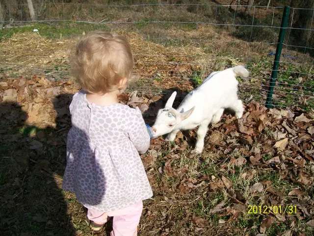 Optimal Planting Times for Collards in Virginia, Complete with Recommendations