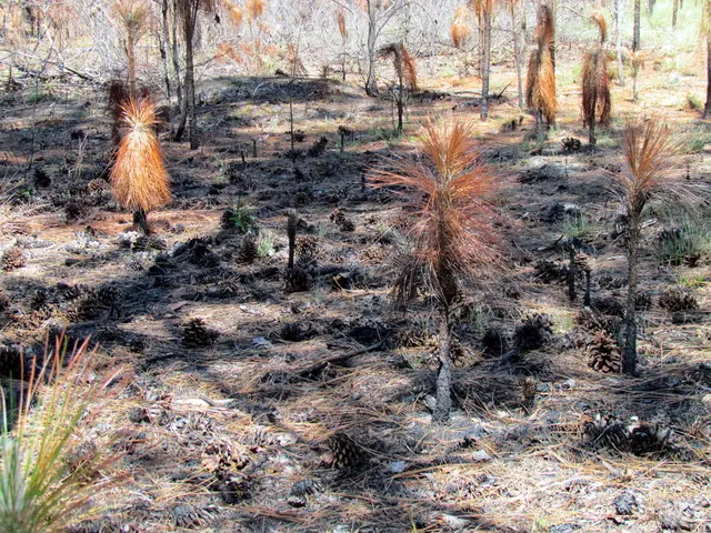 Twelve Common Flora Prohibited in Certain Regions of the Country