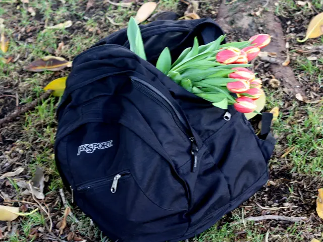 Blossoming Ventures for the First Stage of Spring