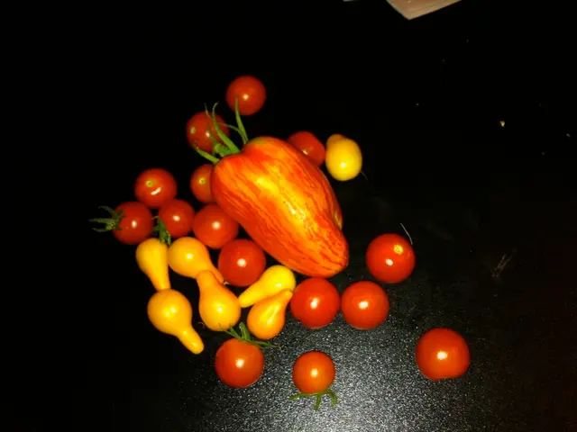 Exploring the Health Advantages of Nectarines: A Look into Their Nutritional Perks