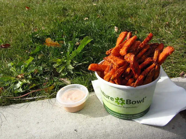 Transformation of Your Area with Stunning Container Plants: Selecting the Best 10 for an Enhanced...