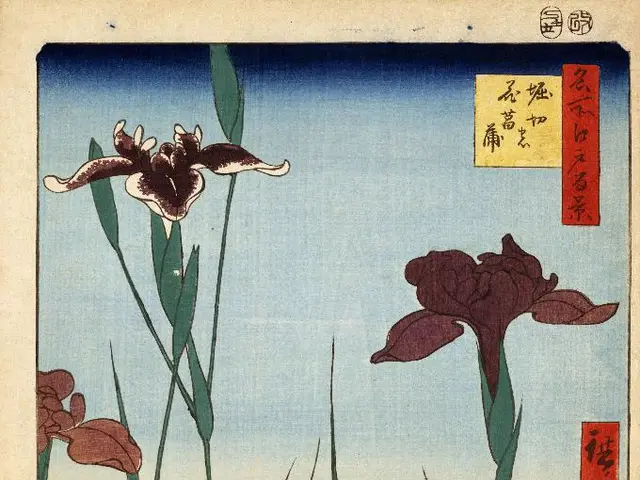 Orchids' Ideal Humidity Levels for Growth and Techniques to Enhance Moisture