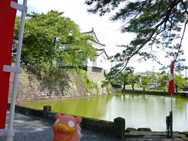 Gratis entertainment: 5 enjoyable, wallet-friendly options in Linz