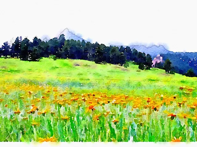 Streamlining Intricate Scenes: A Guide for Complication Reduction