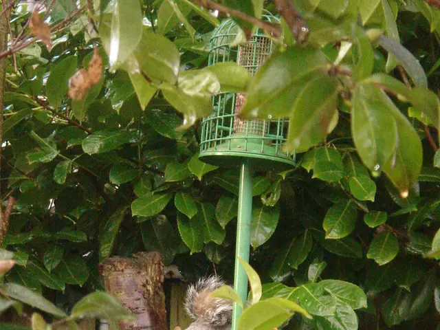 Zoo Hannover bids a final farewell to its former animal caretaker