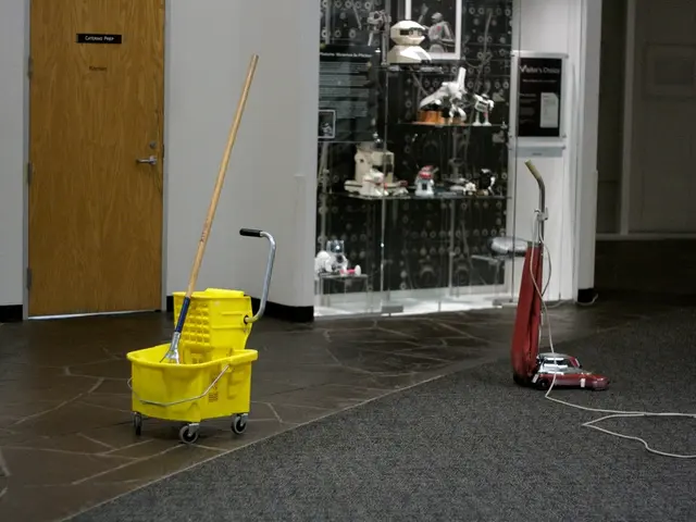 Transforming Living Spaces for a Greener Earth: Embracing Ecological Cleaning Products