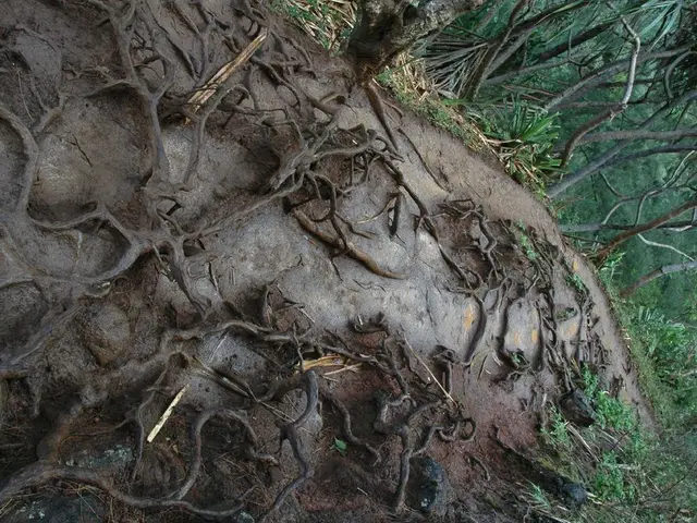 Why Is It Important to Use Soil Already Fertilized When Planting?