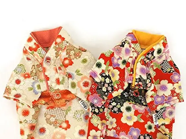 Affordable fashion label Boden offers stylish party attire for Kate Middleton fans this season