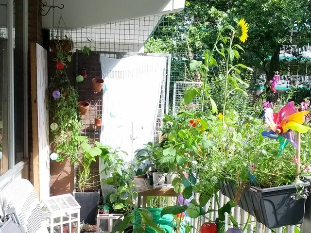 Textile Artist's Charming Georgian Abode