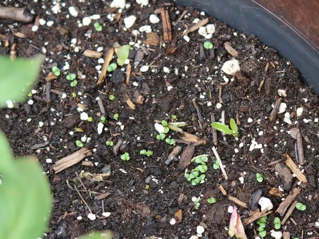 Exploring Your Garden Earth: A Detailed Instructional Process