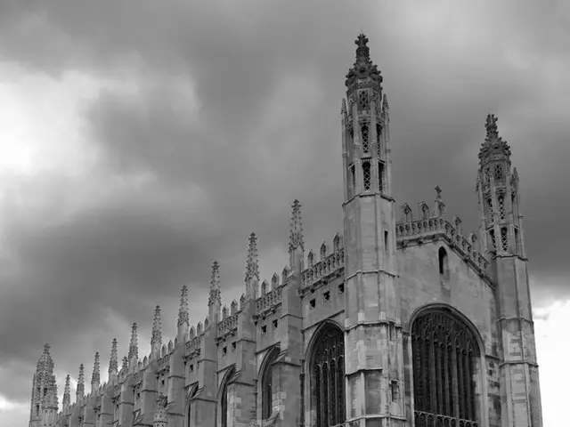 judgmentin favor of ignoring noise control in Chestnut Alley, resulting in disturbed nighttime rest