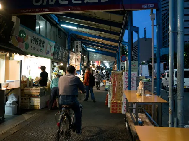 Grants securing 40% accessibility for El Ejido