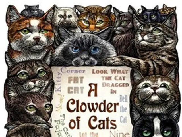 Blastomycosis in Canines: A Comprehensive Veterinary Insight
