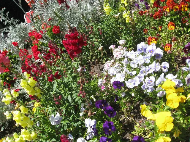 Plants that Grow Larger and More Vibrant Every Spring and Summer: A Comprehensive List of 31...