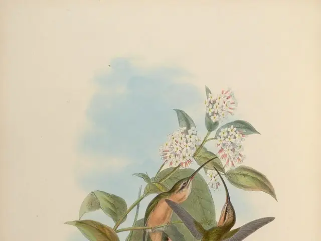 Creative Mini Canvas Paint Projects: Inspirational Artistic Endeavors to Explore