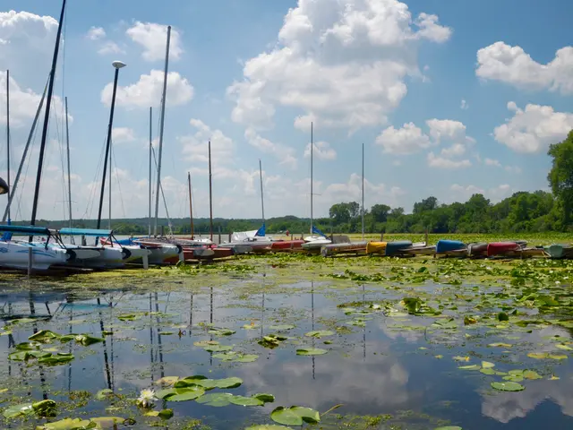 Prioritizing Personal Time Isn't Greedy | Gardenuity: A Focus on One's Own Well-being is Essential