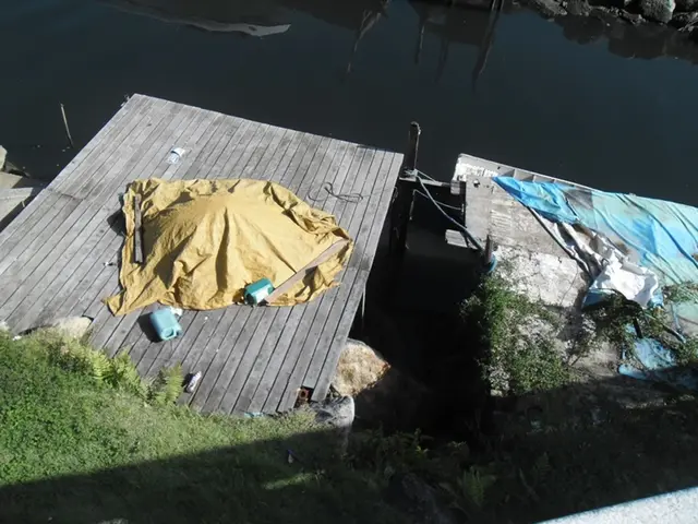 Dusseldorf explores blueprint for the forthcoming phase of the local lake's development