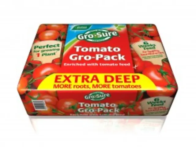 Optimize Your Living Area: Comprehensive Tutorial on Organizing with a Cable Organizer Box