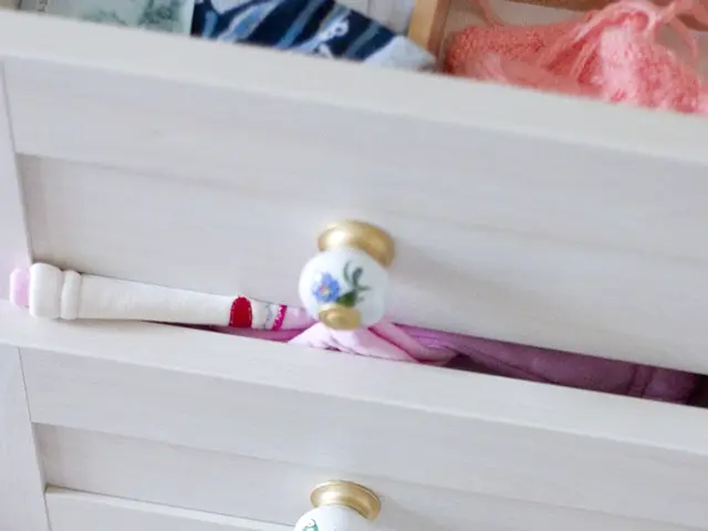 Multitudes of Evaluators Awarded Five-Star Ratings to Cutlery Organizer - Its Innovative 'Second...