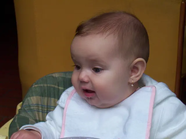 Choosing the Ideal Infant Feeding Chair: A Guide