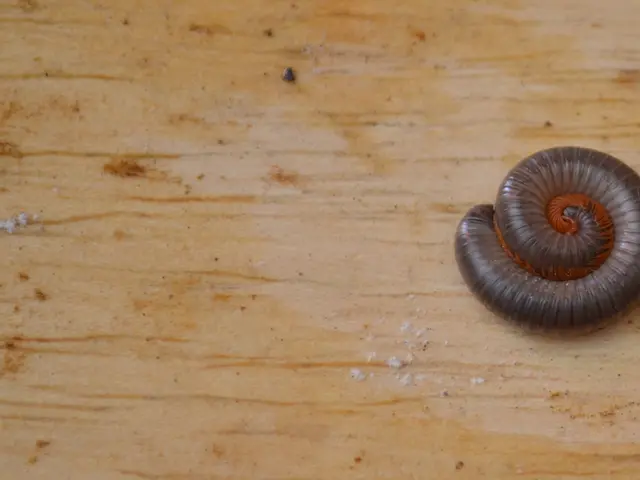 Staging Techniques for Necrotizing Enterocolitis