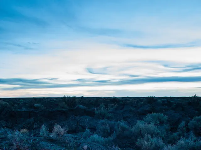 Unforeseen laundry room fire fueled by excessive lint occurs in West Palm Beach backyard.