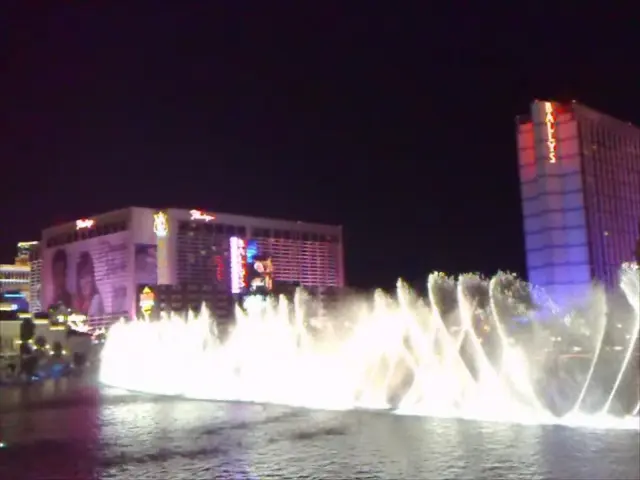 "Expertise in Water Feature Creation: All You Need to Understand About Crafting a 'Rill' in Your...