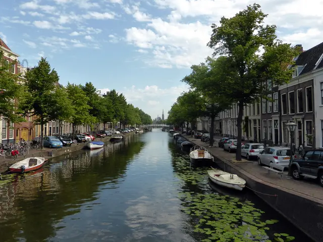 Cleanup Crew on Qaruh Island Focuses on Trash Removal and Marine Life Preservation