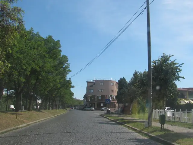 Optimizing energy consumption through solar panel installation by RACV