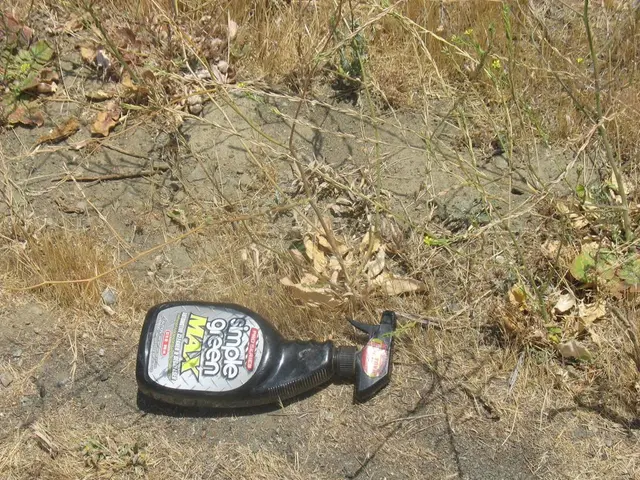 Guide for Achieving Success in No-Till Gardening: Insights into No-Dig Gardening Techniques