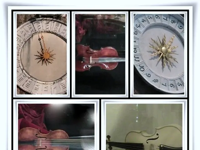 During the pandemic, I managed to maintain and learn more about the concept of "sympathetic...