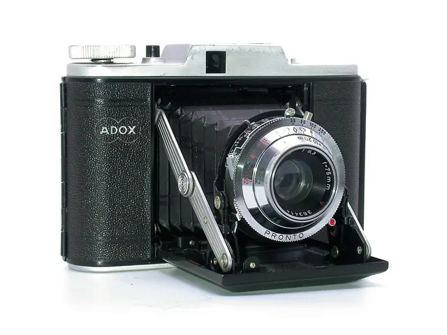 Moderation Champions: My Happiness as a Centrist "Middleman" Photographer Matthew