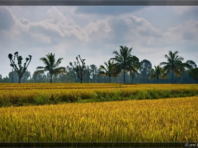 Top Fall Harvest Picks customized to your location