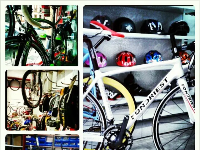 Testing Scott's Electric Bike: Edel-Pedelec for Aesthetes