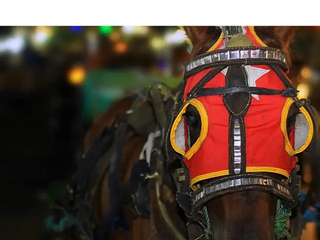 Luxury living takes a stylish turn in Dubai with the arrival of the Middle East's first KARL...