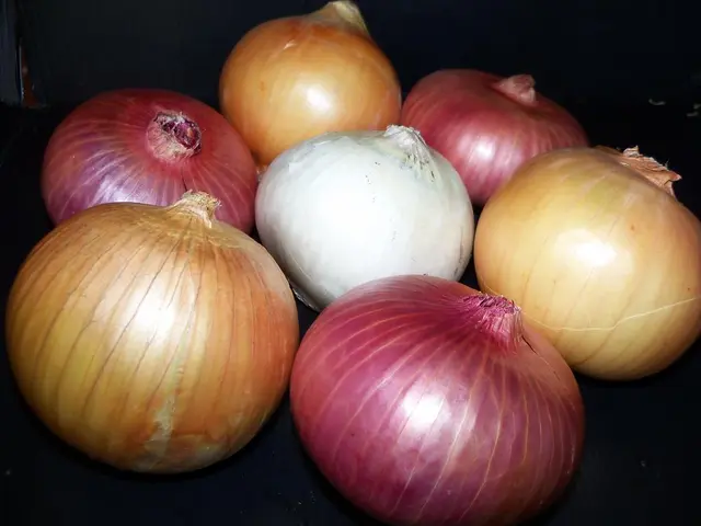 Avoiding Common Blunders Leads to Successfully Cooked Garlic