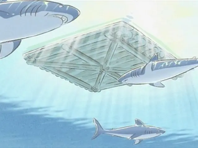 Shark assault: Rapanui's latest t-shirt line raises funds for ocean conservation efforts