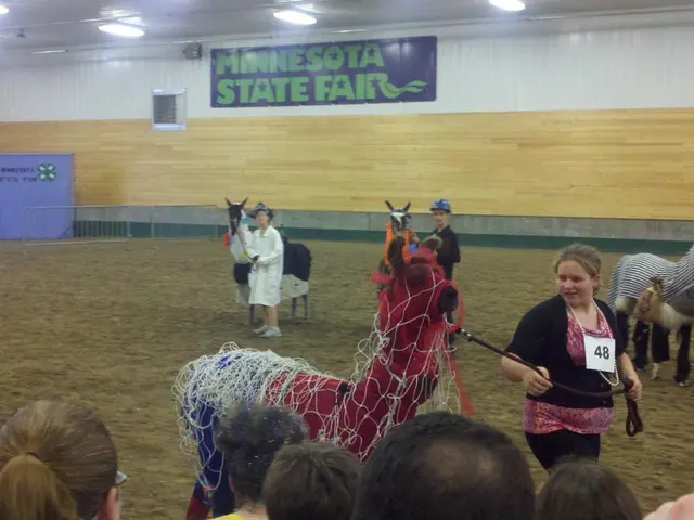 Public Market Debut Features Inaugural Public Festival