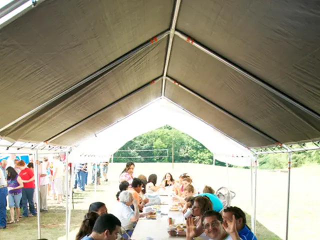 Enjoy your leisure time with the top-notch garden chairs to purchase this year, 2025