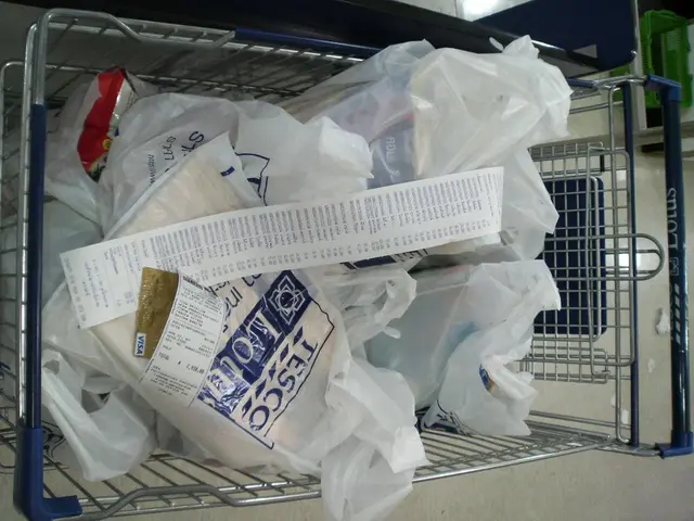 Transforming Residences with Elegance - Strategies to Elevate Your Style while Migrating Your...