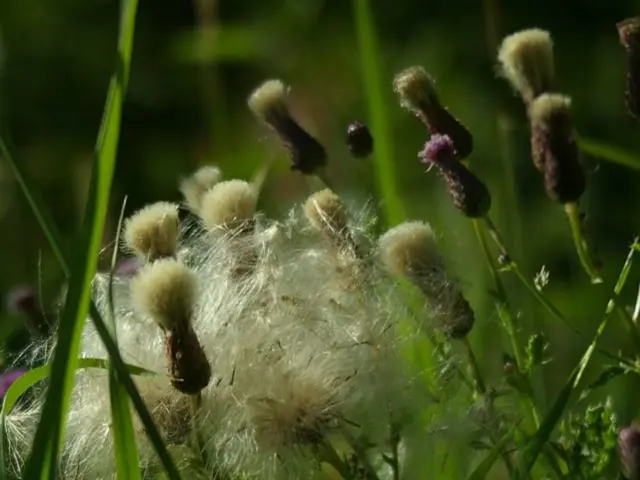 Understanding Fertilizers Made Easy: Simplified Numerical Perspective