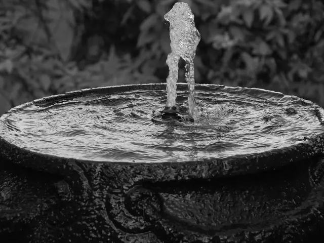 Premium Garden Fountain Design Concepts for Exquisite Outdoor Spaces