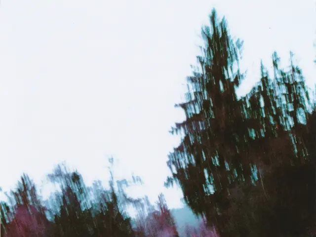 Journey through existence