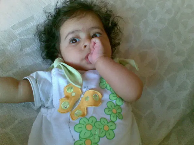 Organic Mattress Made from Avocados