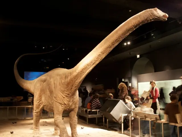 Kids Light-Up Headband Assessment by TIGTECGAME