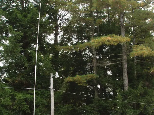 Expanded awning showroom unveiled by Grantham's