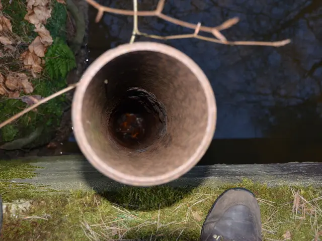 Damage to Gas and Water Pipelines Caused by Excavation Work, According to LPI-SLF