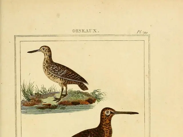 Gardening expert Alan Titchmarsh signs up for the third season of our Talking Gardens podcast on...