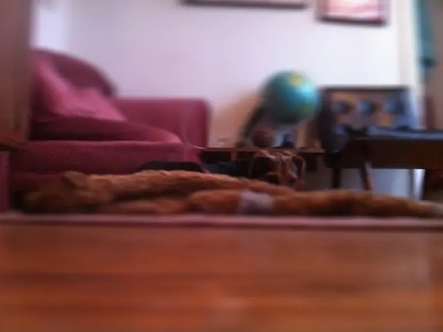 House Smelling Pungently? Un Pleasant Causes identified - Along with Solutions to Eliminate Odors